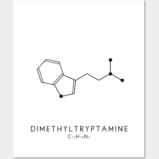 Dimethyltryptamine / DMT Molecular Structure in White Posters and Art